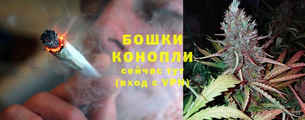 ГАЛЛЮЦИНОГЕННЫЕ ГРИБЫ Дмитров