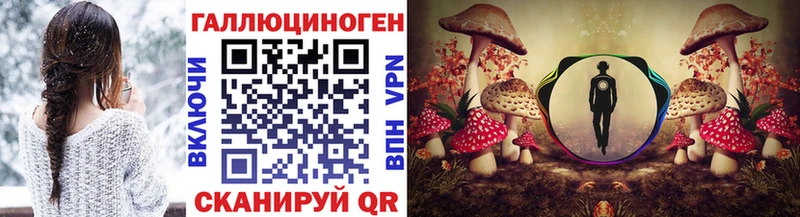 Купить  Козельск  Галлюциногенные грибы Psilocybine cubensis 